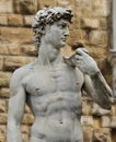 Statue of David, Florence, Italy