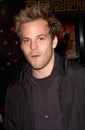 Stephen Dorff