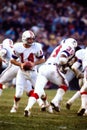 Steve Grogan