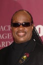 Stevie Wonder