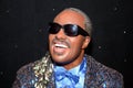 Stevie Wonder