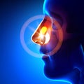 Stuck Object In Nose