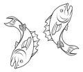Stylised fish illustration an of forming a circle perhaps a tattoo Royalty Free Stock Image