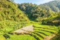 Sumatra Nature