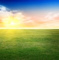 Summer Field Background
