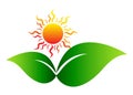 Sun With Leaf