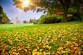Sunny Autumn Day In City Park