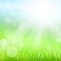 Sunny Nature Background