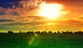Sunset And Field Wallpaper
