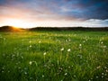 Sunset Over Meadow