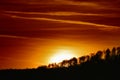 Sunset Over Trees