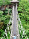 Suspension Bridge, Nature Park