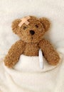 Teddy bear ill