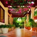 Terrace With Flowers