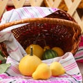 Thanksgiving Day : Fall Decoration - Stock Photos