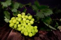 Thompson Seedless Grapes