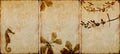 Three Lovely Background Textures