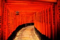 Torii Gates, Japan