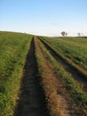 Tracks on a hilltop field