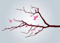 Tree And Bird