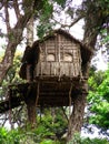 Tree House