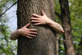 Tree Hugger
