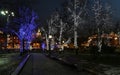 Trees Illuminated To Christmas...