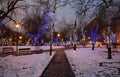 Trees Illuminated To Christmas...