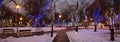 Trees Illuminated To Christmas...