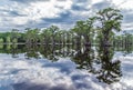 Trees Reflecting On Lake