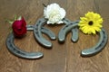 Triple Crown Flowers on Horseshoes