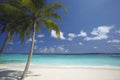 Tropical beach maldives