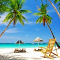 Tropical Holidays