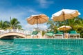 Tropical Holidays At Swimming ...