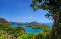 Tropical Island Nature