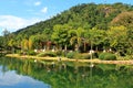 Tropical Nature Near Lake