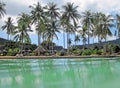 Tropical Resort And Palm Trees