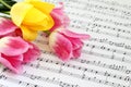 Tulips On The Sheet Music