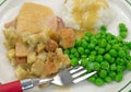 Turkey in gravy peas and mashed potato TV dinner