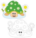 Turtle And Flowers