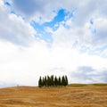Tuscany Before The Storm