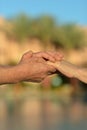 Two Hands Over Nature