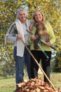 Two Old Ladies In The Garden