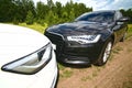 Two Prestigious Cars On Nature