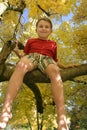 Up A Tree