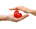 Valentine Heart In Hands