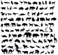 Vector Animal Silhouettes