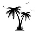 Vector Illustration Of Palm Tr...