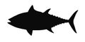 Vector silhouette of tuna hq isolated on white Stock Photos