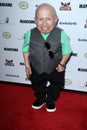 Verne Troyer